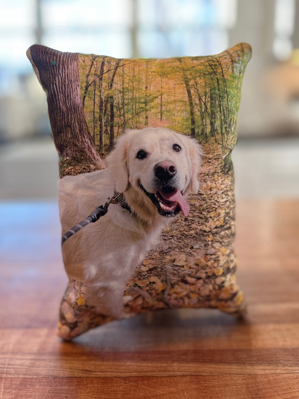 Mini Pet Pillow