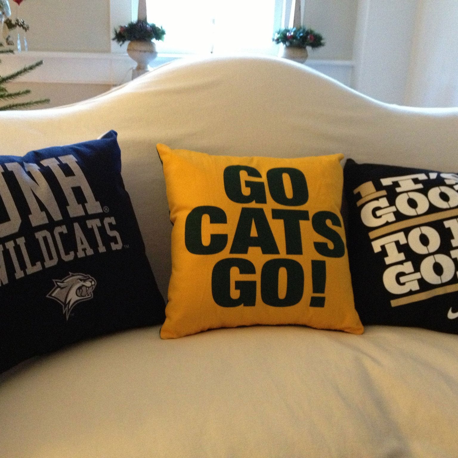 T-Shirt Memory Pillow