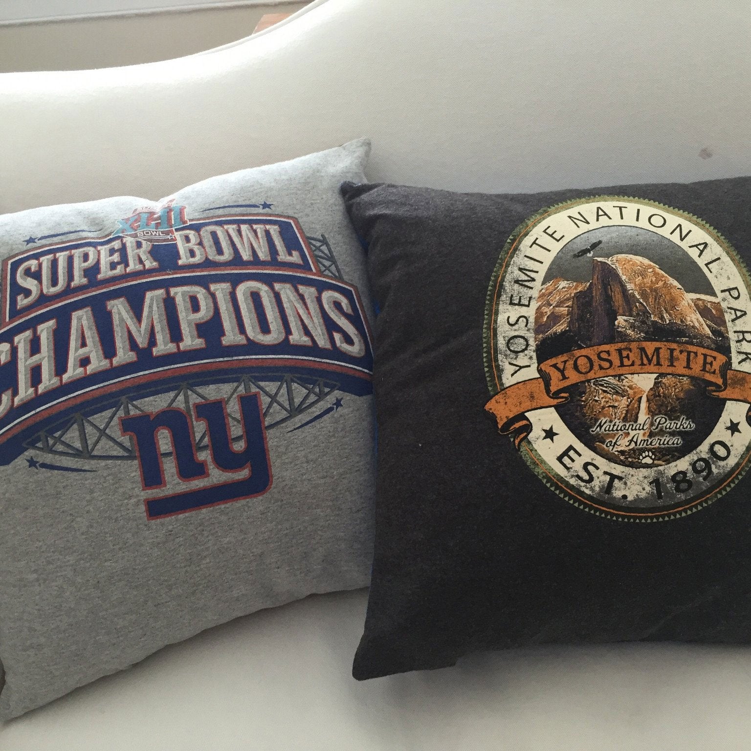 T-Shirt Memory Pillow